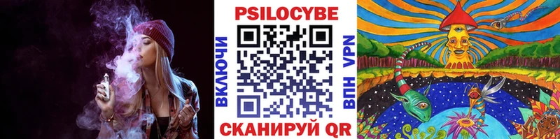 Псилоцибиновые грибы MAGIC MUSHROOMS  Балтийск 